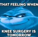 knee surgery 