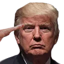 Trump salute