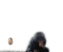 Niffler