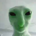 gatoalien