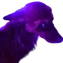 Side Eye Reese's Cup