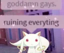 gays ruin everything