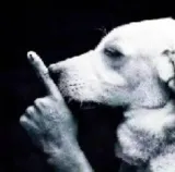 shhh dog /blueemojis shhh dog /blueemojis
