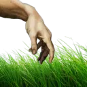 touch grass
