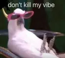 Don'tkillmyvibecunt