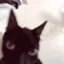 GRR