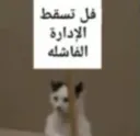 فالتسقط الإدارة