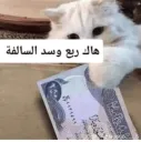 هاك ربع وسد السالفة