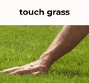 touch grass