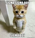 sigma boy