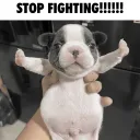 stop fighting
