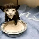 sticker_1734630906668