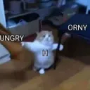 H_ungry_orny____gg_pistach H_ungry_orny____gg_pistach