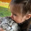 sticker_1734893709446