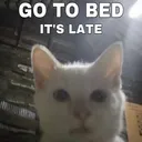 go to bed it's late
