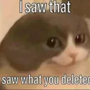 i saw that saw what you delete