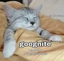 goognite
