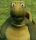 turtlebruh