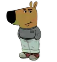 Chill guy