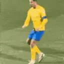 Ronaldo Nutty