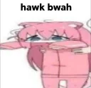 Hawk Bwah