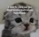 Oque eu fiz