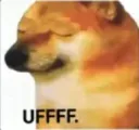 DOGEUFF