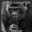 kavga yok aşk var diyen maymun