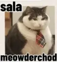 Meowder