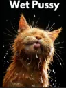 wet pussy