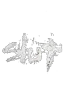 Slut