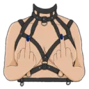 TO_FuckYouFingerHarness