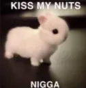 kissmynuts