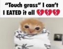 i eated it