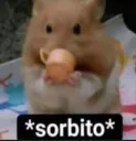 Sorbito Sorbito