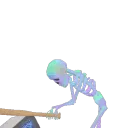 Skeleton