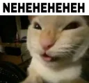 neheheheheh