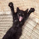 Excitement 