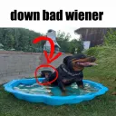 down bad wiener