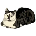 Orion Loaf