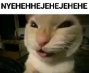 nyehehe