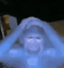gif_sticker_1738108915412