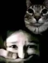 cat kidnap