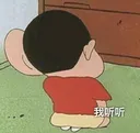 shin