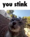 you stink