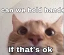can we hold hands