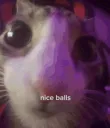 nice ballz