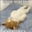 discord. gg/nighters-lab