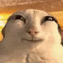 I dont know what this is