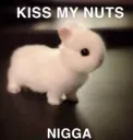 kiss my nuts 